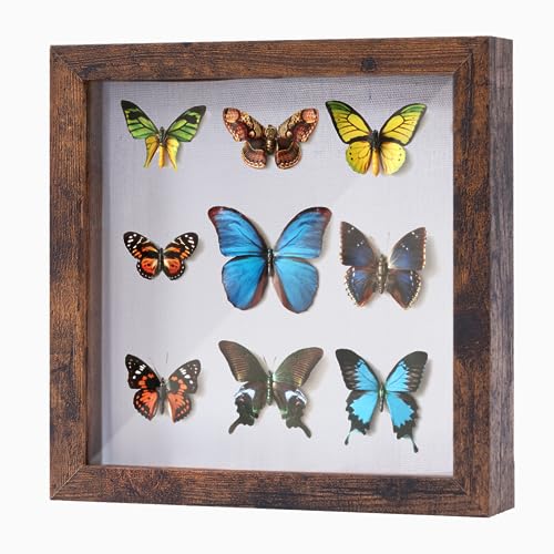 Muzilife 8x8 Shadow Box Picture Frame with Linen Board - Deep Wood & Glass Display Case to Hang Memory Box Baby Sports Memorabilia, Pins, Awards, Medals, Wedding, Tickets and Photos, Rustic Brown