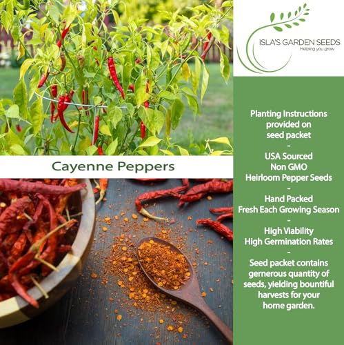 Long Red Thin Cayenne Pepper Seeds for Planting, 100+ Heirloom Seeds Per Packet, (Isla's Garden Seeds), Non GMO Seeds, Botanical Name: Capsicum annuum, Great Home Garden Gift - Image 2