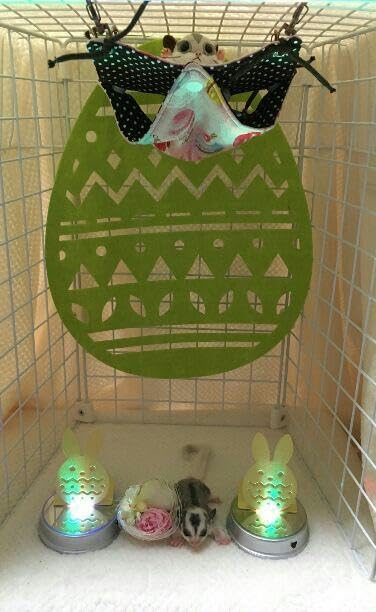 モモンガハウス スイーツ柄Ver.5 茶ドット 春 夏 仕様 1850モモンガ