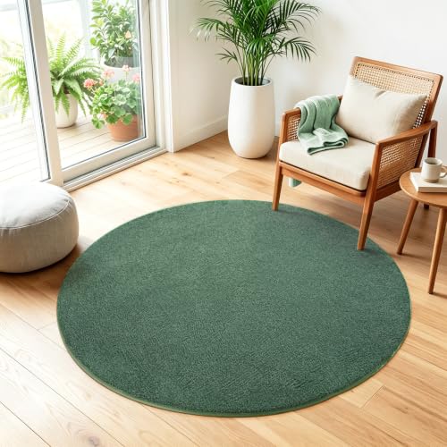 Image of Rezutan Round Small Washable Rugs for Bedroom 120cm Green Fluffy Carpet