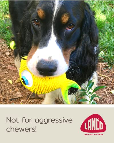 Sensory Fish - Squeaky Dog Toys - Soft, Natural Rubber (Latex) - Puppy - Small Dogs - Medium Dogs & Blind Dogs - Indoor Play - Complies With Same Safety Standards As Children's Toys (1 Pack) #TOP3