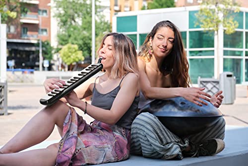 Classic Cantabile FML-32 BK Melodica - Blasharmonika mit 32 Tasten - Tonumfang: f - c³ - Booklet mit 5 Kinderliedern und bunten Aufklebern - Mit Etui, Mundstück und Anblasschlauch - Schwarz