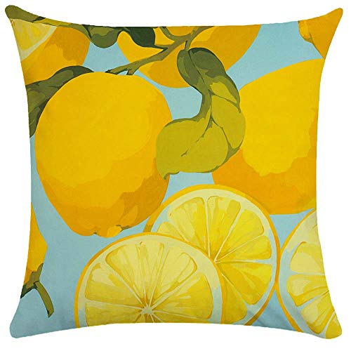 WEIANG Housse de Coussin Double Side Motif Fruits/Citrons/Oranges/poires 50 x 50 cm