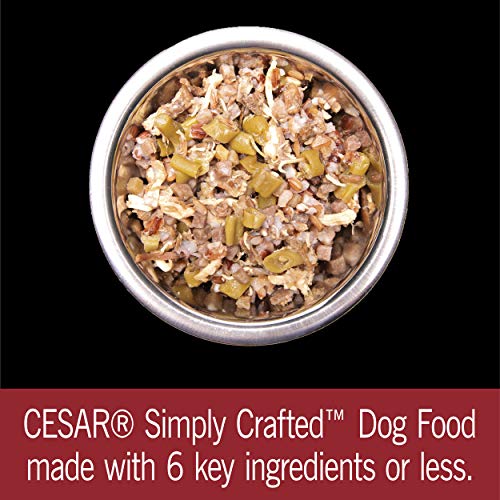 CESAR SIMPLY CRAFTED Adult Soft Wet Dog Food Meal Topper Beef, Chicken, Purple Potatoes, Green Beans & Red Rice, (10) 1.3 oz. Tubs - image 9