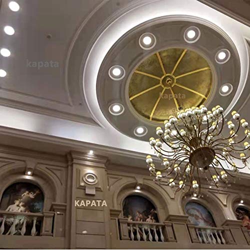 Kapata Dimmable Par64 Led Bulb 500W Replacement 24° Narrow Beam 4000K Neutral White 120V Gx16D Base, 1- Pack #TOP4