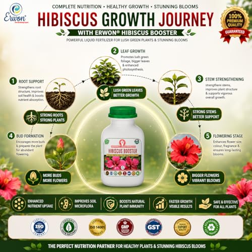 Image of Erwon Hibiscus Booster, Premium Essential Powerful Liquid Fertilizer for the Best Growth of Hibiscus Plants with Flowering Nutrients and Charged Micro-organism (100 ml)