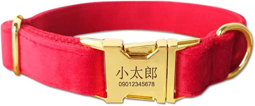 Amazon | Tiiyar 犬 首輪 名前入り＆電話番号刻印 迷子札付き カスタム