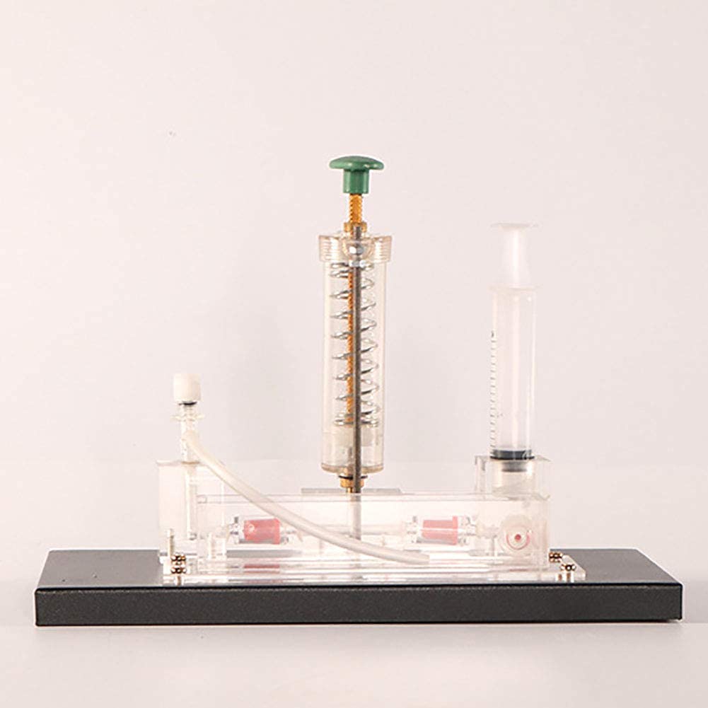 Modèle de Sciences éducatives Principe de Transmission Modèle Expérience de Physique Instrument Exploration Scientifique Équipement pédagogique