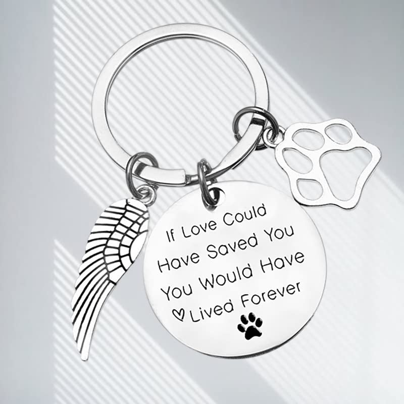 In Memory of Dog Cat Keychain Loss of Dog Sympathy Remembrance Gift Bereaved Pets Gift Dog Keychain Memorial Keepsakes Bereavement Gifts for Loss of Pet Cat Keyring