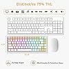 RK ROYAL KLUDGE RK84 Wired RGB 75% Hot Swappable Mechanical Keyboard, 84 Keys Tenkeyless TKL Gaming Keyboard w/Programmable Software, RK Red Switch
