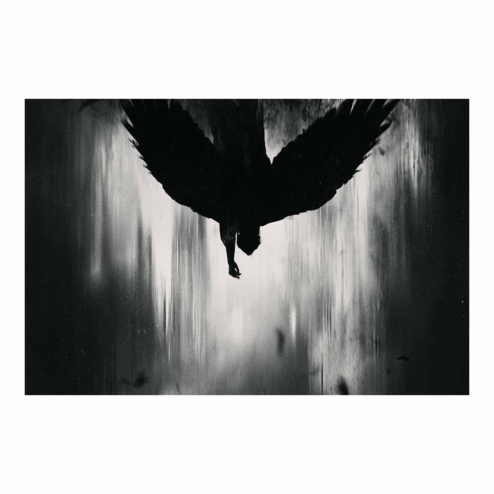 HOQIU Black Grey And White Wall Art Fallen Angel Art canvas wall art, painting and decor, for Living Room Bedroom Home Decoration(Multicolor)-70x100cm Unframed