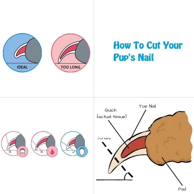 healthbe, Dog & Cat Nail Clipper, Pet Nail Cutter with Safety Guard, for Large and Small Animals PETNC (Blue/White) - Image 3