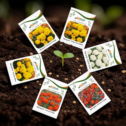 Image of Marigold Flower Seed | 6 Varieties | 50+ Seeds Each Variety | All Season | Flower Seed | Great Germination Rate | Pack of 6 | 300+ Seeds | Combo Pack |