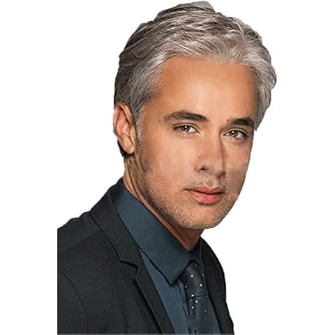 DKE&YMQ Grey Wig for Men, Fluffy and Realistic Short Hair Old Man Wig Side Parting Gentleman Men's Natural Hair Suitable for Middle-Aged and Elderly People's Daily Party Wear Christmas Banquet Cover