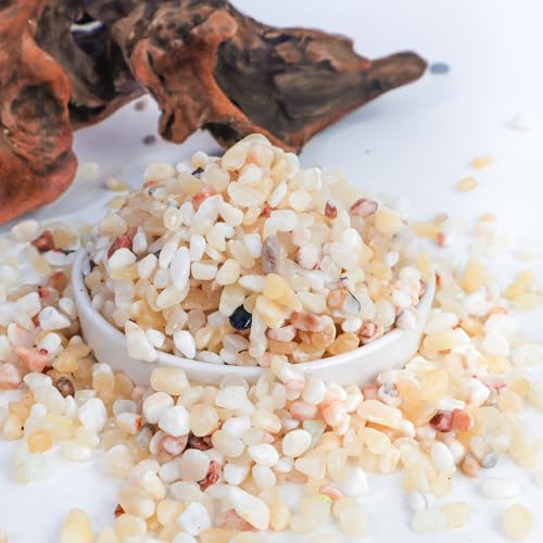 Image of CJGQ 2.4lb Aquarium Gravel for Plants,1 /5 Inch Natural Decorative River Rocks for Succulent and Cactus Landscaping, Natural Small Rocks for Fish Tanks, Vases & Terrariums