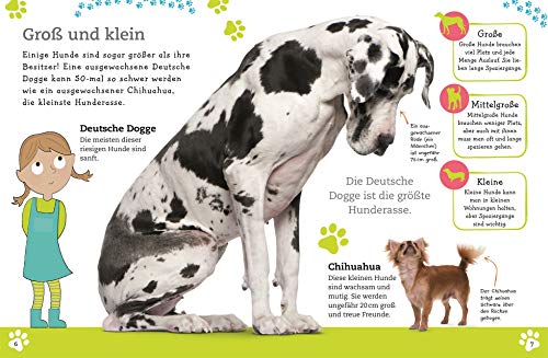 Alles über deinen Hund: So sorgst du für dein Lieblingstier. Mit Steckbriefen beliebter Hunderassen und Quiz (Mein Haustier)