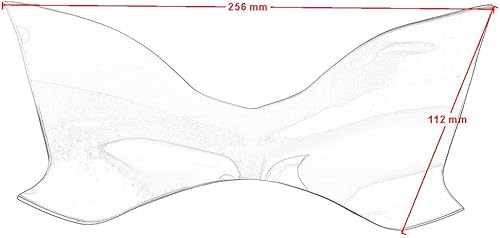 Miniatura 5 de Cubierta protectora para faros delanteros de motocicleta, accesorios de carenado para Z900 2017-2019 (gris ahumado)