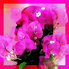 �D���Ђ� / ���