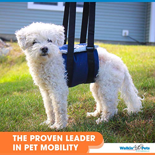 Support Sling Dog Harness For Full Body Support | Prevents Injuries | Helps With Post-Surgical Rehabilitation | Height Adjustable Handles #TOP7
