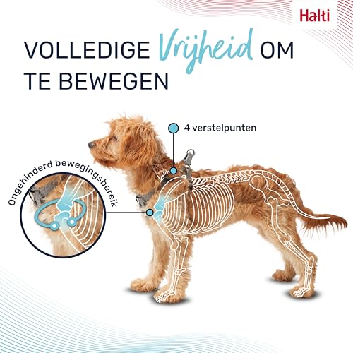 Image of Halti Anatomy Puppy & Small Dog Harness | Size XS, Grey | Soft & Comfortable Step-in Harness, 4 Adjustable Points, Lightweight & Reflective, For Miniature and Toy Dog Breeds