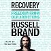 Recovery: Freedom from Our Addictions