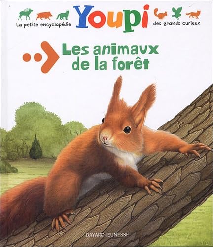 ENCYCLO YOUPI N10 ANIMAUX DE LA FORET Chanut, Emmanuel; Fichou, Bertrand; Janicot, Stéphanie; Orr, Richard and Collectif