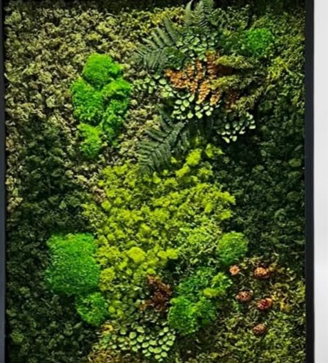 Unique Moss Art - Live Preserved Moss Wall Art - Moss Wall Wooded Frame Art - Custom Made - Home Decor - Well Decor - Office Decor. Handmade - Made in USA (17" x 21") Black