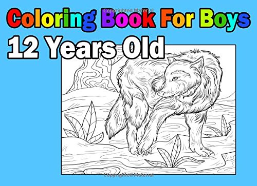 Coloring Book For Boys 12 Years Old