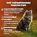 Bio PetActive CatiMalt Plus Hairball Remedy for Cats | All Natural Treats for Relief and Reduce Hair Ball | Kitty & Kitten Furball Control Creamy Gel | Soft Paste – 3.38 oz