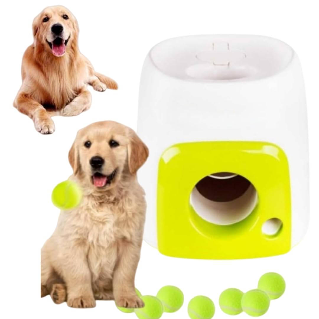 Générique Lanceur Automatique de Balle pour Chien, Lanceur de de Tennis interactif, Jouet Rechargeable pour Chien, Jeu d'entraînement de Stimulation mentale pour intérieur (3 balles de Tennis)