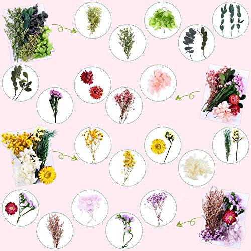 4 Bags Natural Dried Pressed Flowers Leaves Set, Mixed Dried Flowers Colorful Real Dry Flowers For Diy Candle Resin Jewelry Nail Crafts Pendant Floral Decoration Supplies #TOP1