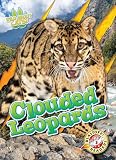 Clouded Leopards Blastoff Readers