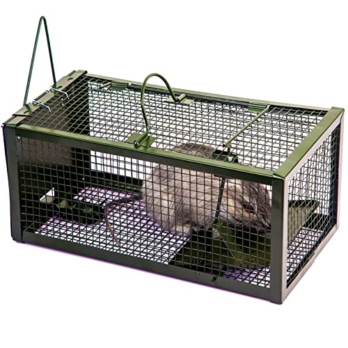 GERAWOO Piege a Souris Vivante Efficace, Piege a Rat Sûr pour Jardins Intérieur et Exterieur, Convient pour Attrape Les Souris, Campagnol, Rongeurs Cover