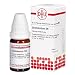Produktbild Chelidonium D 6 Dilution 50 ml