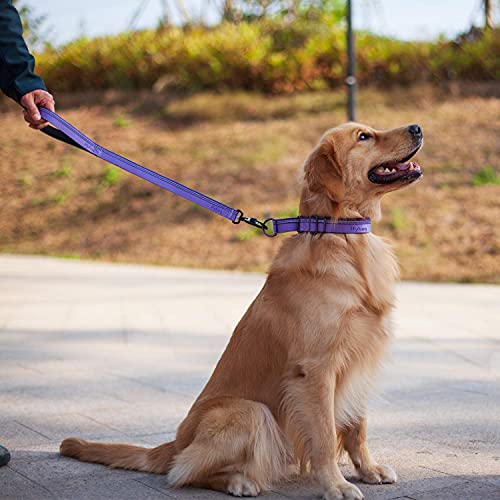 Hyhug Pets Reflective Dog Collar With Beautiful Jacquard Weave Solid Color Nylon For Pup Dogs Daily Walking And Training. (Small, Ultra Violet) #TOP6