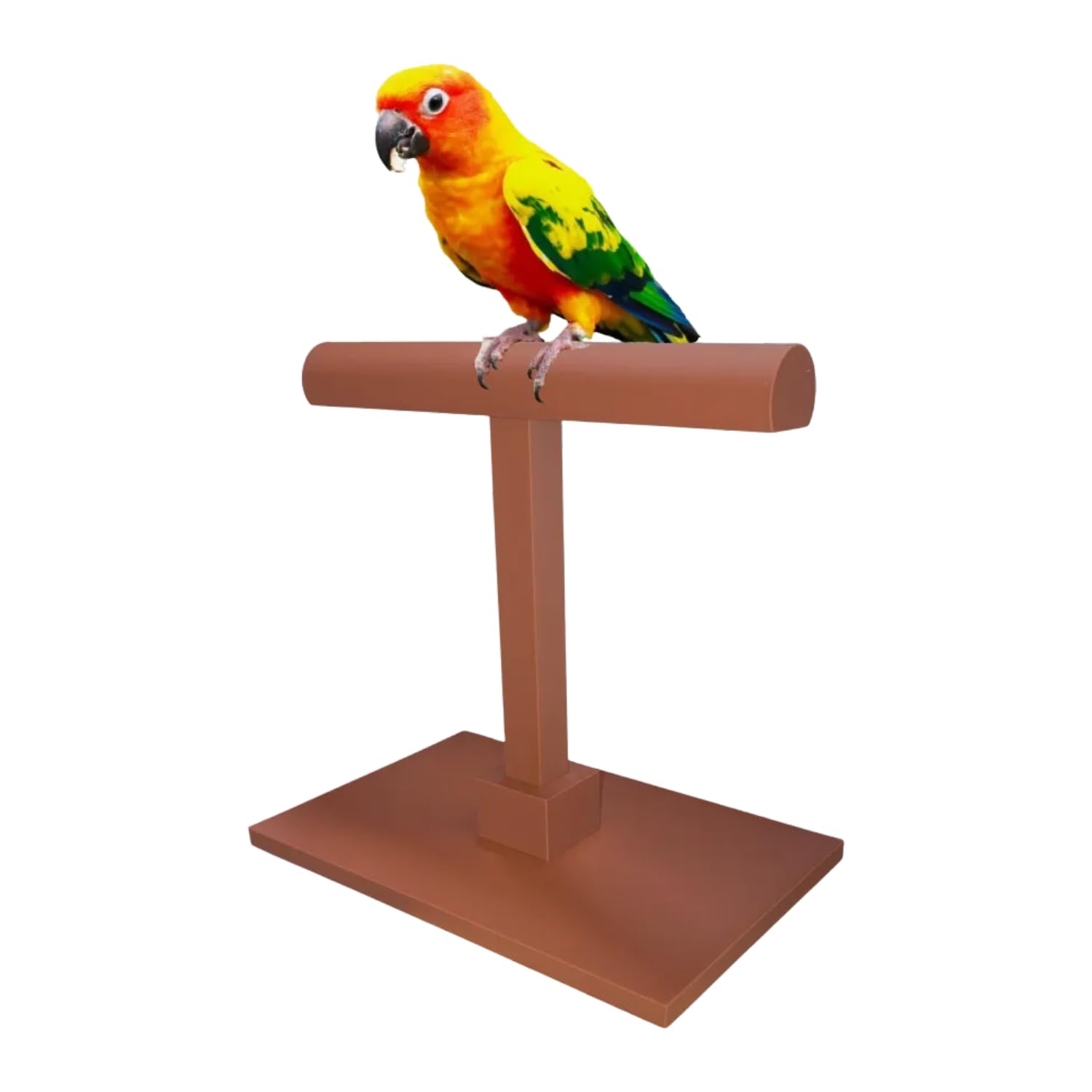 LBH MARKET Training Bird Perch - Ideal for Parrot, Parakeet, Budgie - Portable, Lightweight, Textured Perch with Non-Skid Bottom - Easy Assembly, No Screws Needed