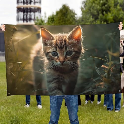 Bannière chaton résistant aux intempéries pour décoration dortoir