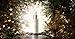 ALQVIMIA Essentially Beautiful - Serum Facial noche pieles Sensibles CALM