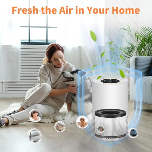 Image of 2 Packs AP-S0610L Replacement Filter Compatible with Mooka AP-S0610L Air Cleaner Purifier, 3-Stage Filtration System
