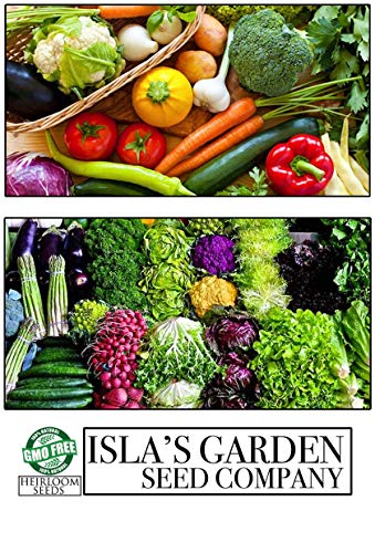 American Red Plum Tree Seeds For Planting, 5 Fruit Seeds Per Packet, (Isla's Garden Seeds), Non Gmo & Heirloom Seeds, Botanical Name: Prunus Americana, Great Home Garden Gift #TOP4