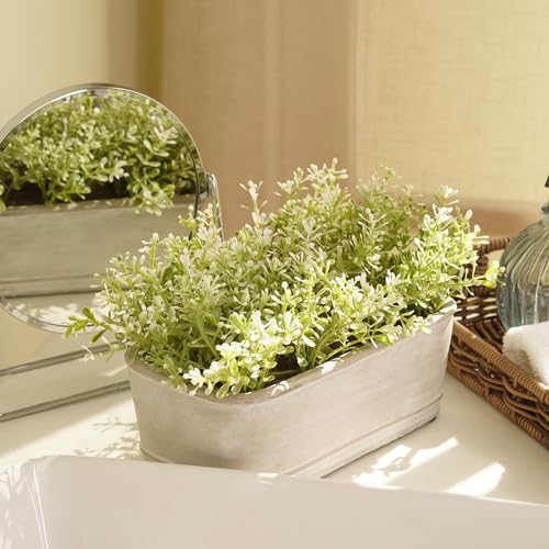 Image of PURE HOME + LIVING Green Faux Plant with Rectangular Cement Pot Plant in Dusty Green for Office Room Table Windowsill Decor.(Pot-21X12 CM,Height-15cm) Pack of 1