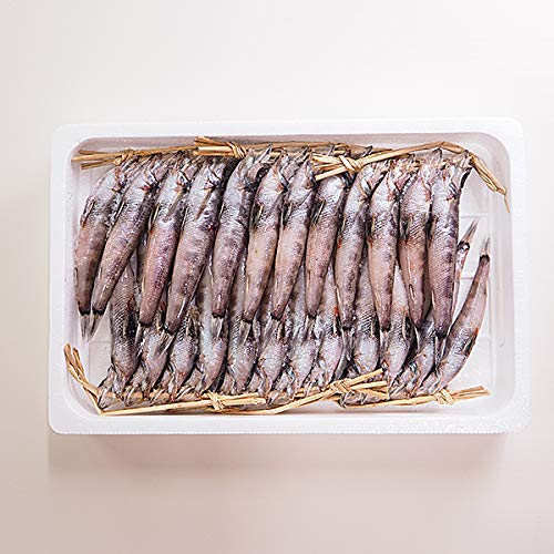 築地魚群 めひかりの丸干し