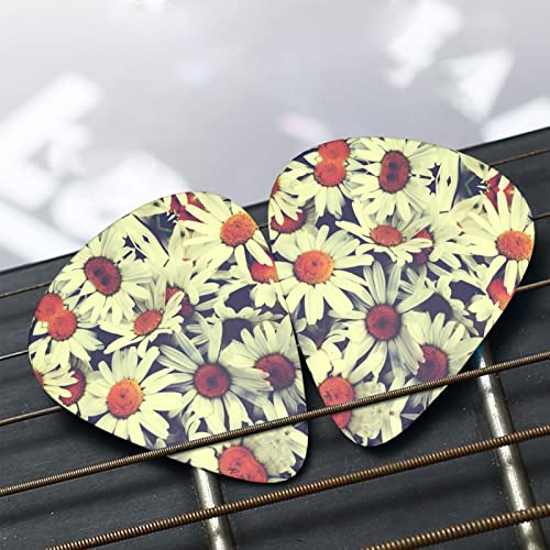 Médiators Guitare 12-Pack Vintage Fleurs Médiators Guitare Électrique Guitare Acoustique Diverses Guitares - Les Beatles, Paul McCartney, John Lennon, RIngo Starr, George Harrison Médiators Guitare 12-Pack Vintage Fleurs Médiators Guitare Électrique Guitare Acoustique Diverses Guitares – Image 7
