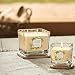 Yankee Candle - Colección Elevation, Vela aromática mediana cuadrada de 3 mechas...