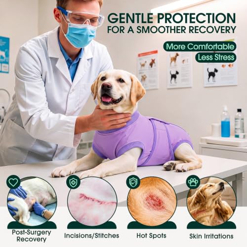 Image of Kuoser Dog Surgery Suit Female Spay, Dog Recovery Suit Male Neuter