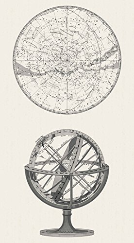 Encyclopedia Galactica panel 24 by 43 inches cotton print Andover Fabrics