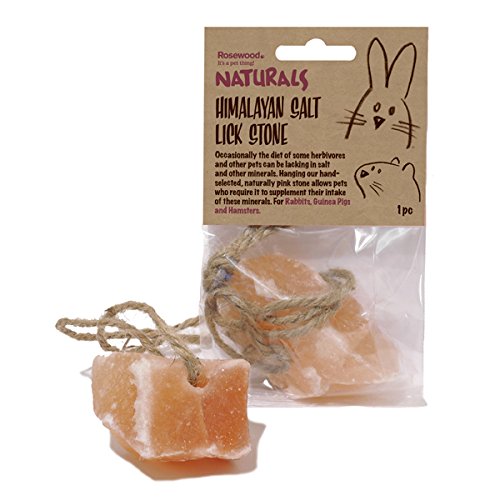 Boredom Breaker NATURALS Himalayan Salt Lick Stone