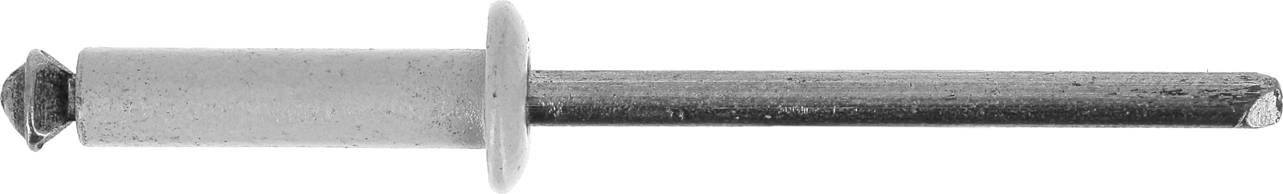 Restagraf Pack of 52 Flourished Rivet for Registration Plates, 4 to 11 mm Thick, 16 mm Length, White, Pack of 52