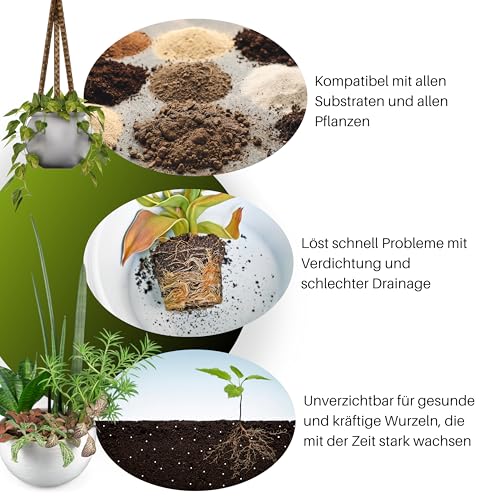 GebEarth® | Perlite für Pflanzen 3L | Körnung 2-6 mm | Verbessert die Wasserdrainage | Expandierte Perlite, ideal für Sukkulenten, Orchideen, Karnivoren und andere feuchtigkeitsempfindliche Pflanzen.