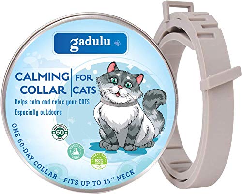 Best Flea Collars Works